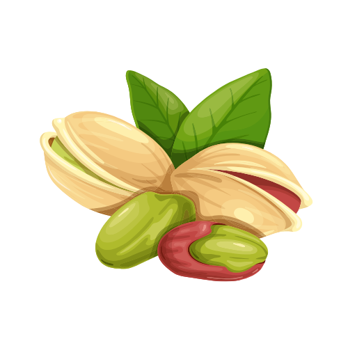 Nuts and Seeds